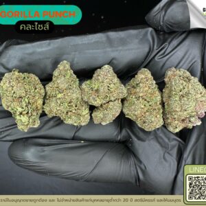 Gorilla punch