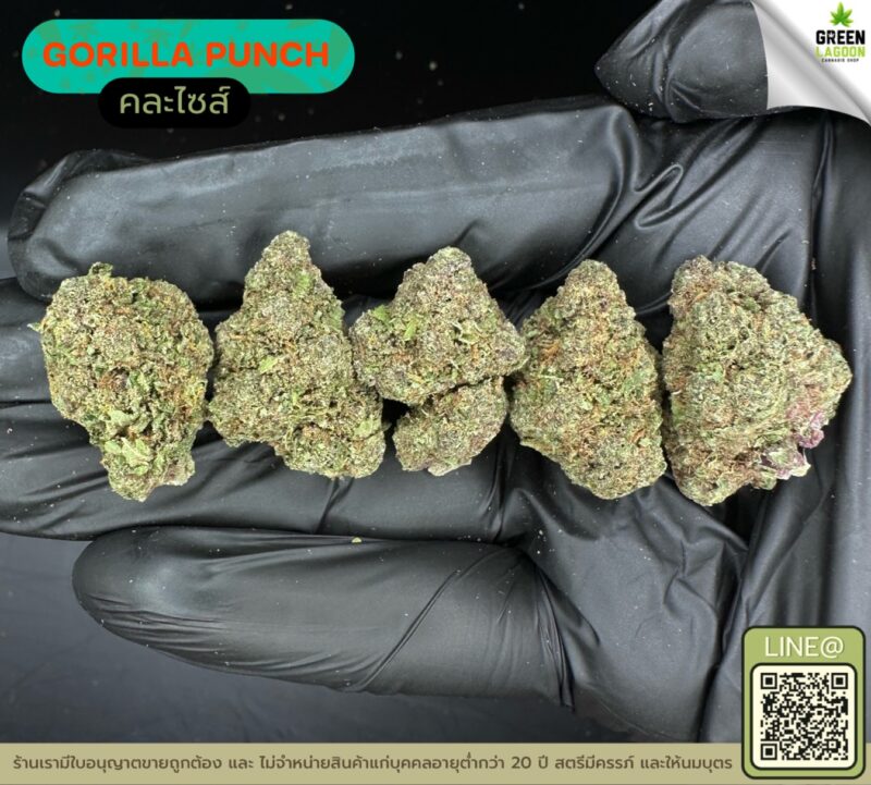 Gorilla punch