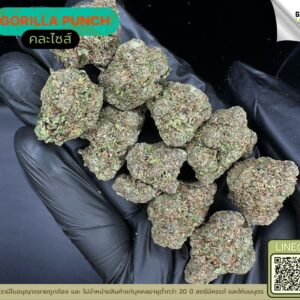 Gorilla punch