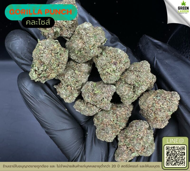 Gorilla punch