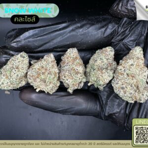 Snow white