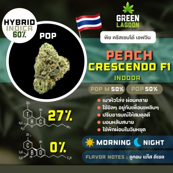 Peach crescendo F1