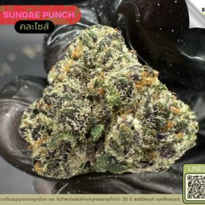 Sundae punch