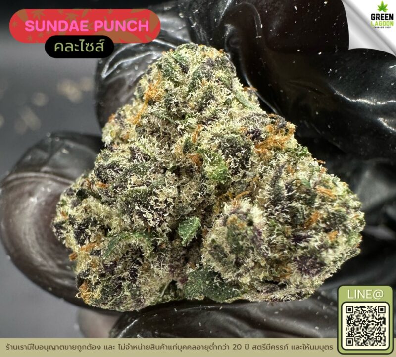 Sundae punch