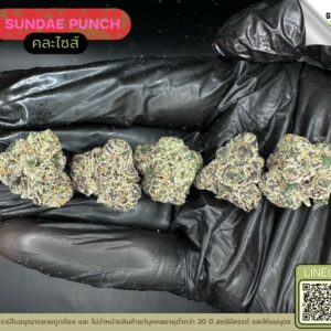Sundae punch