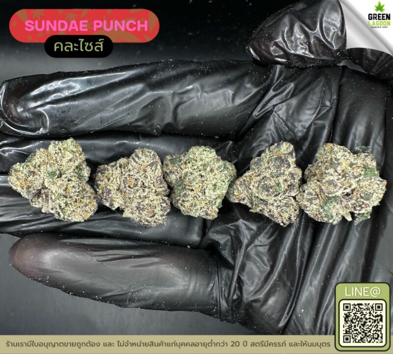 Sundae punch
