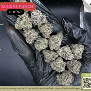 Sundae punch