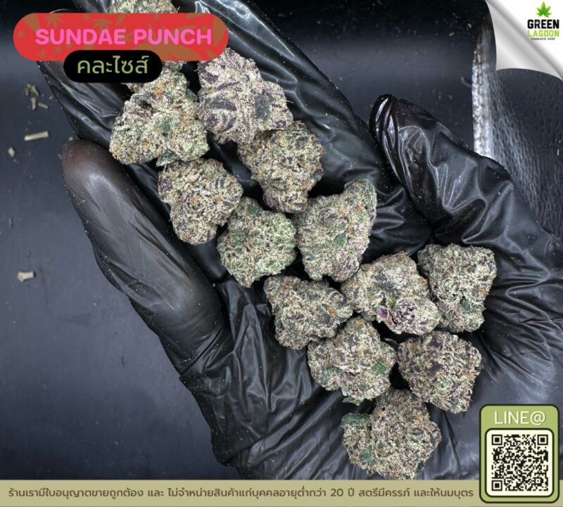 Sundae punch
