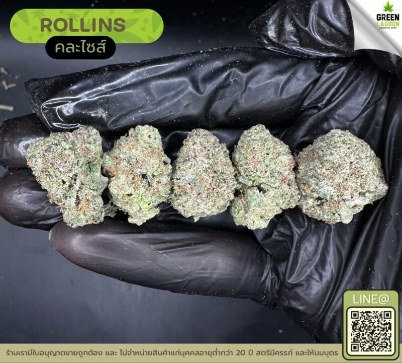 Rollins