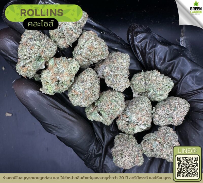 Rollins