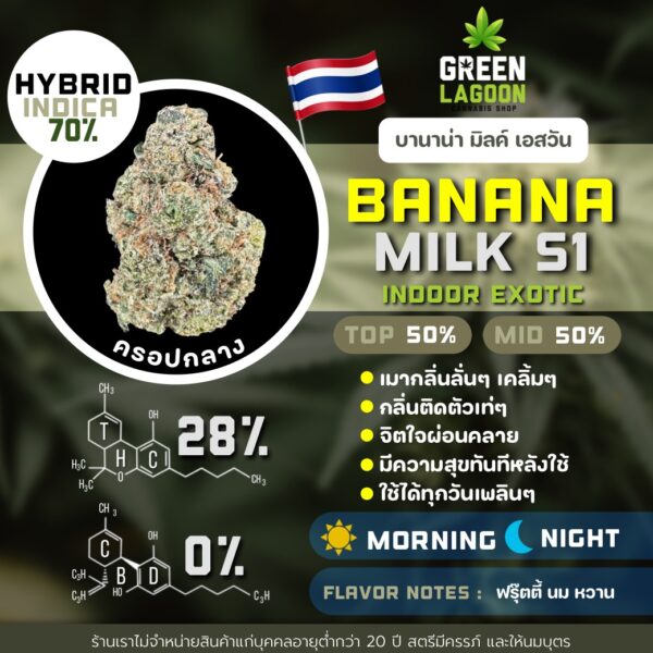 Banana milk S1