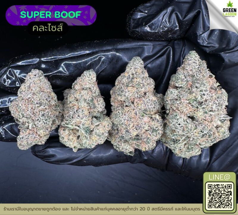 Super boof